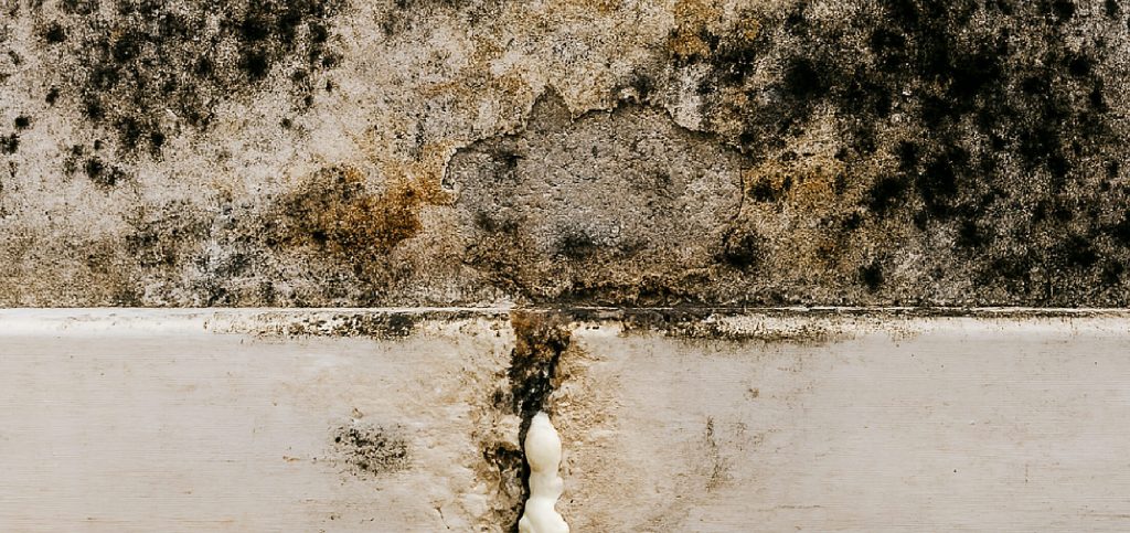 Mold and damp walls caused by poor waterproofing affecting indoor air quality